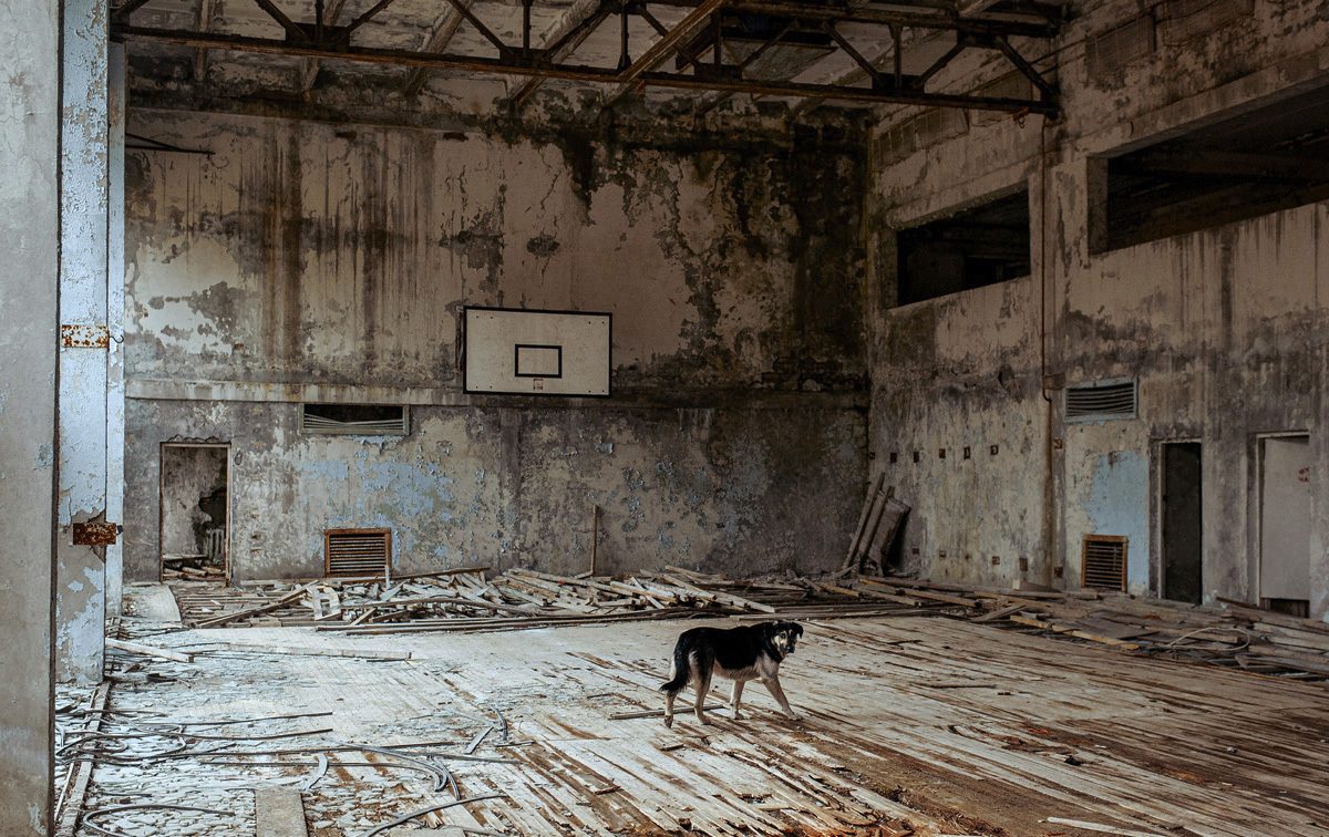 Чернобыль Фото 2023 Года