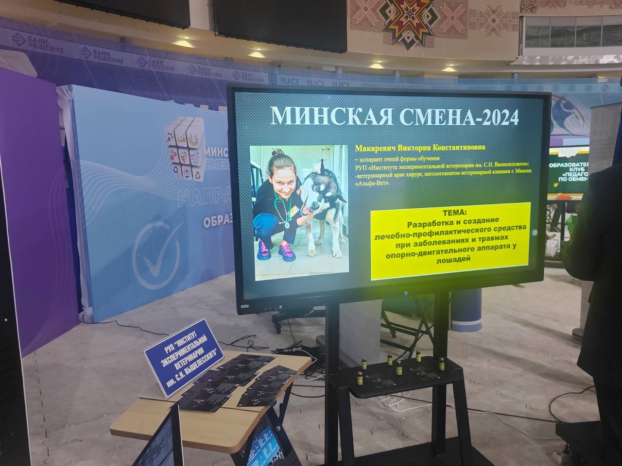 Молодые участники от Фрунзенского района готовятся достойно представить свои проекты, направленные на улучшение столицы и всей Республики Беларусь.