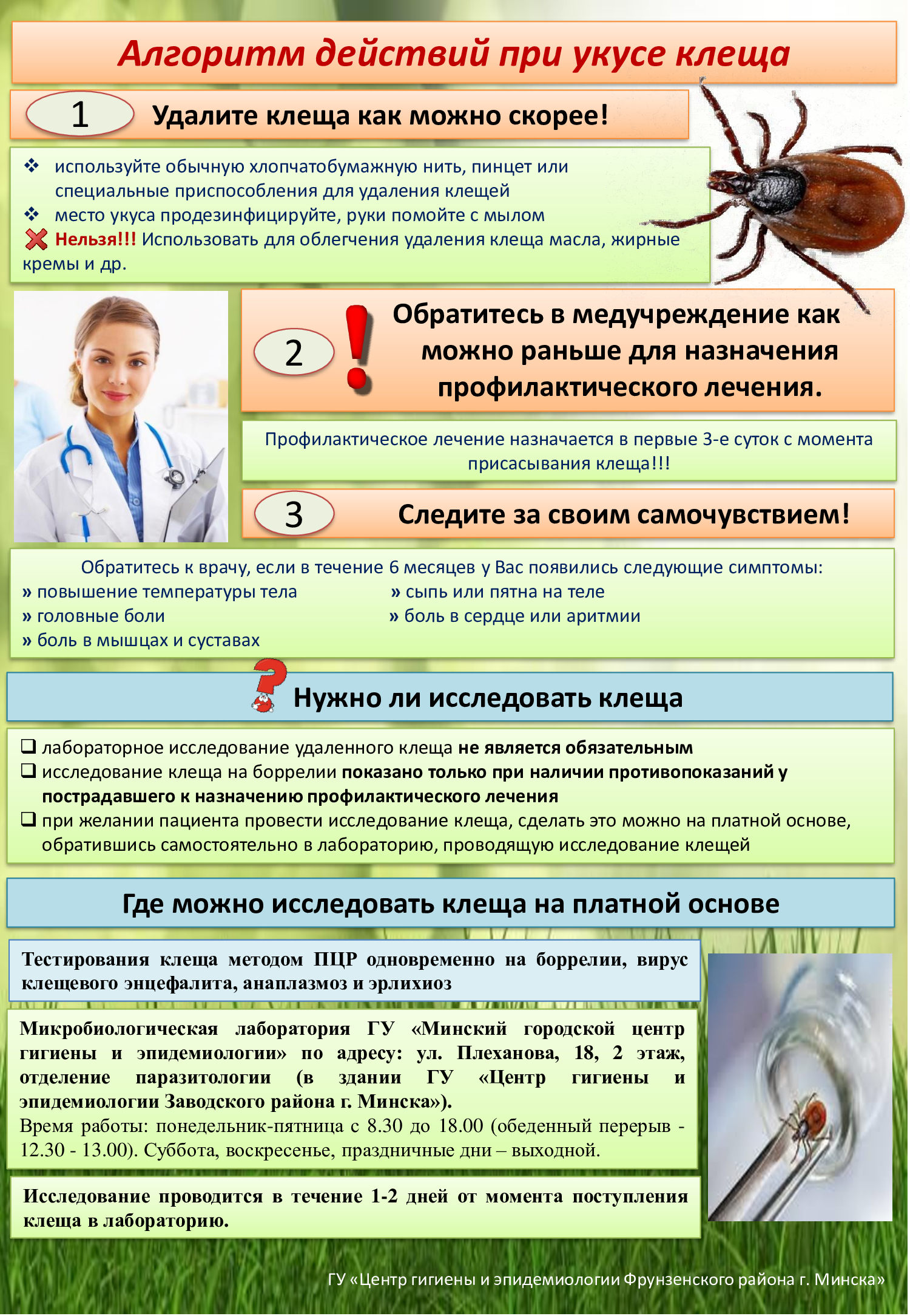 Алгоритм действий при укусе клеща 2025