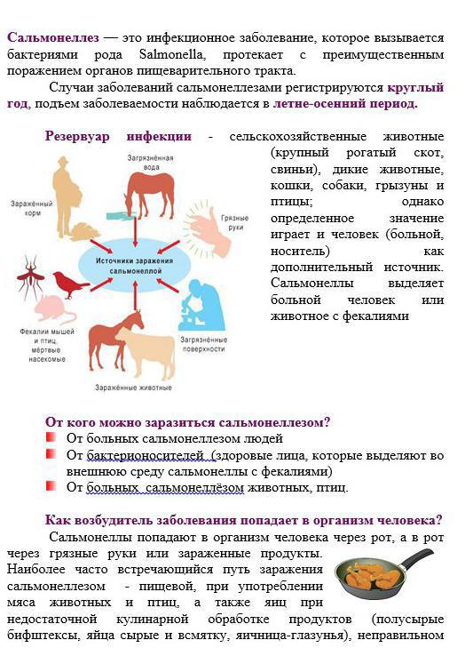 Сальмонеллёз