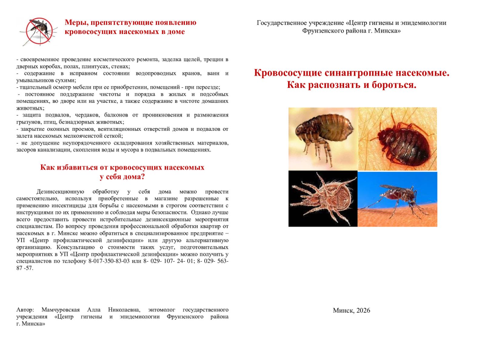 Кровососущие синантропные насекомые. Как распознать и бороться