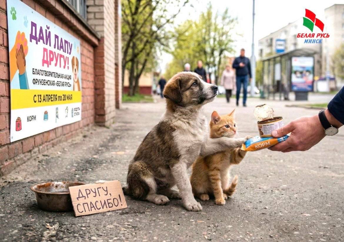 Дай лапу другу – и он никогда тебя не предаст